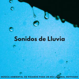 Sonidos De Lluvia: Música Ambiental De Pájaros Para Un Día Laboral Motivado - Llovió