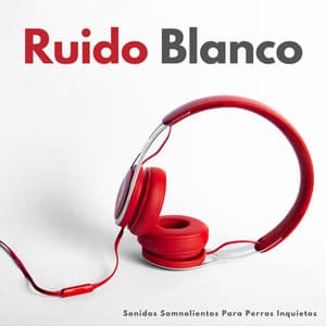 Ruido Blanco: Sonidos Somnolientos Para Perros Inquietos - Relajación de ruido blanco natural