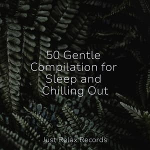 50 Gentle Compilation for Sleep and Chilling Out - Dog Music