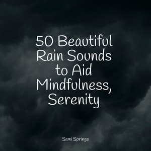 50 Beautiful Rain Sounds to Aid Mindfulness, Serenity - Loopable Rain Sounds