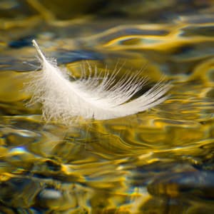 Timeless Horizons: Angelic Sleep Hypnosis for Past Life Discovery and Future Manifestation with Deep Theta/Delta Waves - Deep Sleep Hypnosis Masters