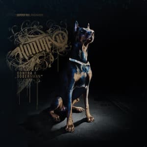 Dobermann - Kontra K