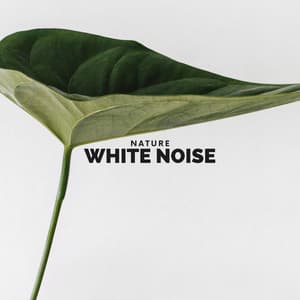 Nature White Noise - White Noise Nature Sounds Baby Sleep