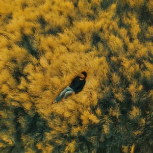 Sindets Regn: Lægende Strømme af Emotionel Tilfredsstillelse - 101 Relax