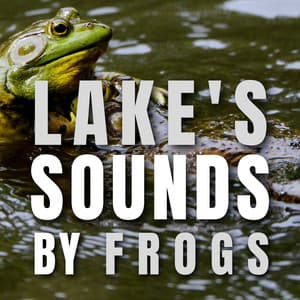 Lake's Sounds by Frog - Frog Sounds