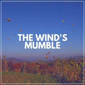 The Wind's Mumble - Soft Soundscapes