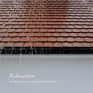 Relaxation: Gentle Rain Soundscape for Sleep Vol. 1 - Some Music