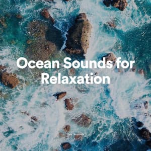 Ocean Sounds for Relaxation - Sundays By The Ocean