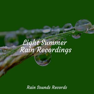 Light Summer Rain Recordings - Sounds Of Nature : Thunderstorm, Rain
