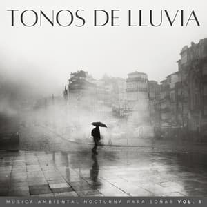 Tonos De Lluvia: Música Ambiental Nocturna Para Soñar Vol. 1 - Siempre Lloviendo