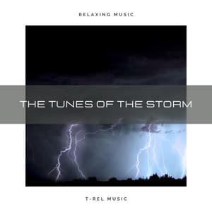 The Tunes Of The Storm - Total Relax