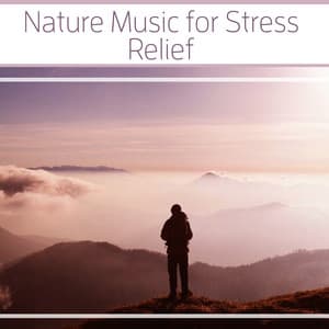Nature Music for Stress Relief – Relax Music Zone, Spirit Free, Nature Sounds Therapy - Relaxing Sounds Of Nature