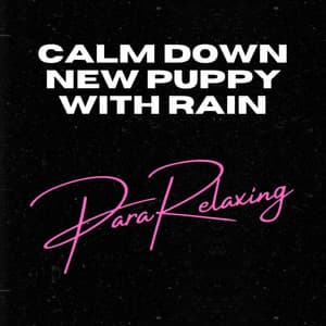 Calm Down New Puppy with Rain - ParaRelaxing