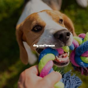 dog and breeze - Cool Cats 1940s Jazz