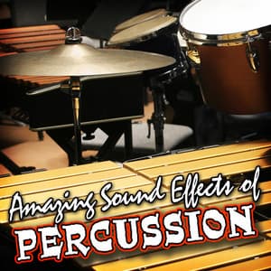 Amazing Sound Effects of Percussion - Sound FX