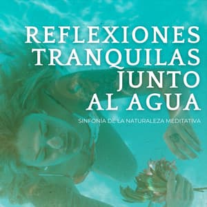 Reflexiones Tranquilas Junto Al Agua: Sinfonía De La Naturaleza Meditativa - Poder y Energía
