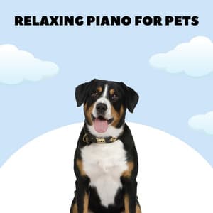 Doggy Lullabies - Relaxing Piano For Pets