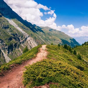 Melodic Nature Trails: A Serene Symphony Under the Sky - Under Bare Sky
