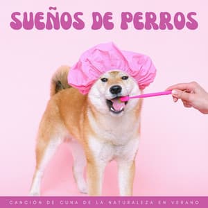 Sueños De Perros: Canción De Cuna De La Naturaleza En Verano - Vida Sonidos Naturaleza