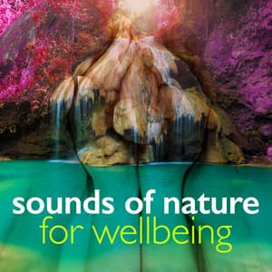 Sounds of Nature for Wellbeing - Sounds of Nature for Deep Sleep and Relaxation