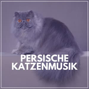 Persische Katzenmusik - Katzenmusik