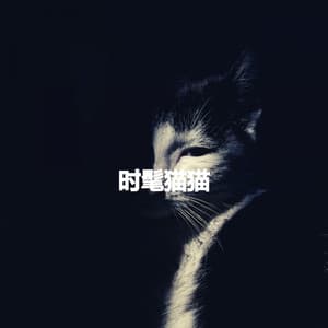 时髦猫猫 - Light Dinner & Jazz