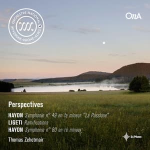 Perspectives - Joseph Haydn