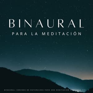 Binaural: Sonidos De Naturaleza Para Una Meditación Profunda Vol. 1 - Inkognitone