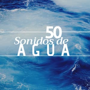 50 Sonidos de Agua - Los Mejores Efectos de Sonidos Relajantes para Dormir, Meditar y Relajar la Mente - Templo de la Luna