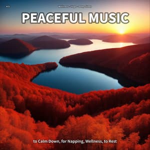 #01 Peaceful Music to Calm Down, for Napping, Wellness, to Rest - Wellness