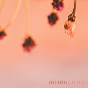 Quadroleaf - Axelites