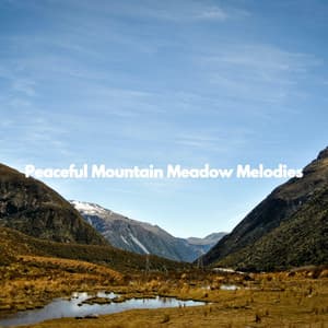 Peaceful Mountain Meadow Melodies - Playlist for Nighttime Calm