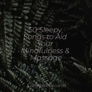 50 Sleepy Songs to Aid Your Mindfulness & Massage - Preschool Kids