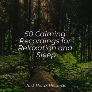 50 Calming Recordings for Relaxation and Sleep - Mantra para Meditar