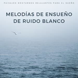 Melodías De Ensueño De Ruido Blanco: Paisajes Nocturnos Relajantes Para El Sueño - Ruido blanco para un sueño absoluto