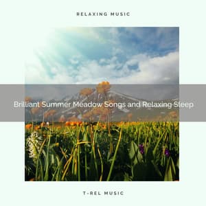 2020 Best: Brilliant Summer Meadow Songs and Relaxing Sleep - Naturaleza
