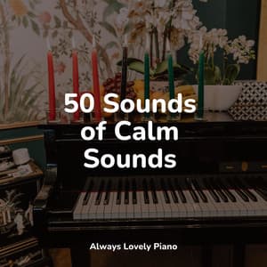 50 Sounds of Calm Sounds - RPM (Relaxing Piano Music)