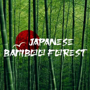 Japanese Bamboo Forest - Tom Barkes