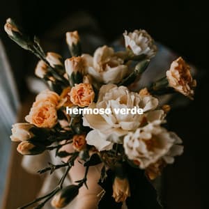 hermoso verde - Valentine's Day Music