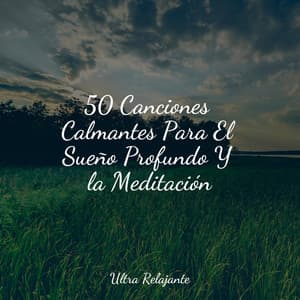 50 Canciones Calmantes Para El Sueño Profundo Y la Meditación - Sueños Triplete