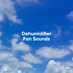 Dehumidifier Fan Sounds - White Noise Collectors