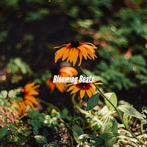 Blooming Beats - Cafe Jazz Paris