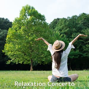Relaxation Concerto - Calming Chords