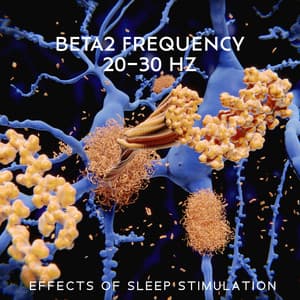 Beta2 Frequency : Effects of Sleep Stimulation, Oscillation in Nonsynaptic Networks of Somatosensory Cortex - Binaural Healing