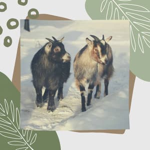 Heavenly Jazz Guitar - Ambiance for Fresh Spring - Toronto Coffee Shop Jazz