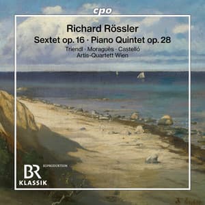 Rössler: Sextet, Op. 16 & Piano Quintet, Op. 28 - Richard Rossler