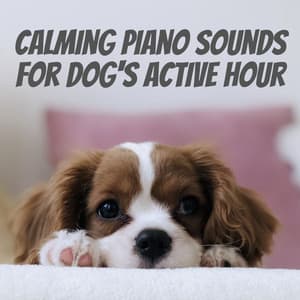 Calming Piano Sounds for Dog's Active Hour - Ocean Pianos