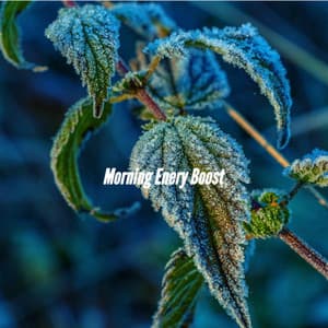 Morning Enery Boost - Beach Jazz Playlist