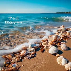 Chilled Summer Swing: Warm Summer Nights and Coastal Escapes - Ted Nayes