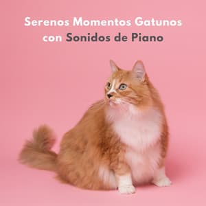 Serenos Momentos Gatunos Con Sonidos De Piano - Experiencia de piano y olas oceánicas